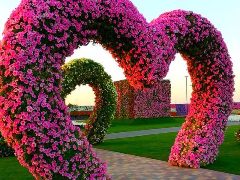 Miracle Garden – Dubai - Foto: Pinterest